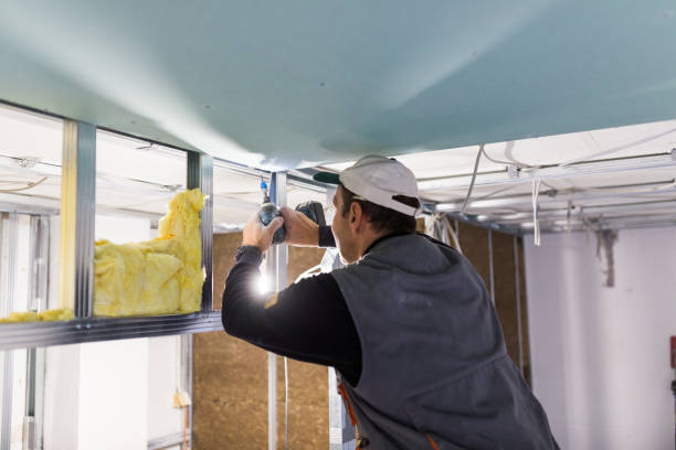 Best Crawl Space Insulation  in Pitola, CA