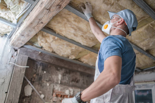 Best Home Insulation Services  in Pitola, CA