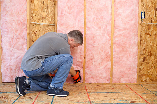 Best Insulation Contractors for Homes  in Pitola, CA