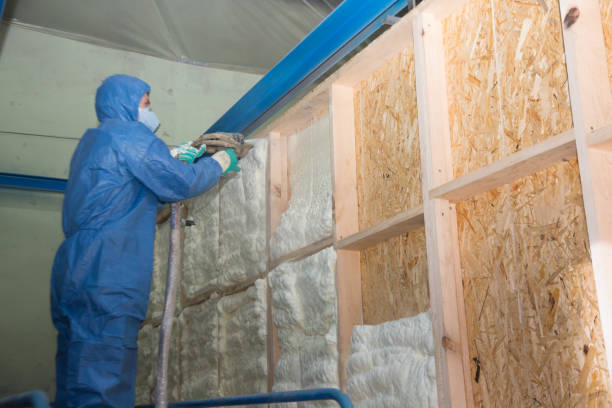 Best Fiberglass Insulation  in Pitola, CA